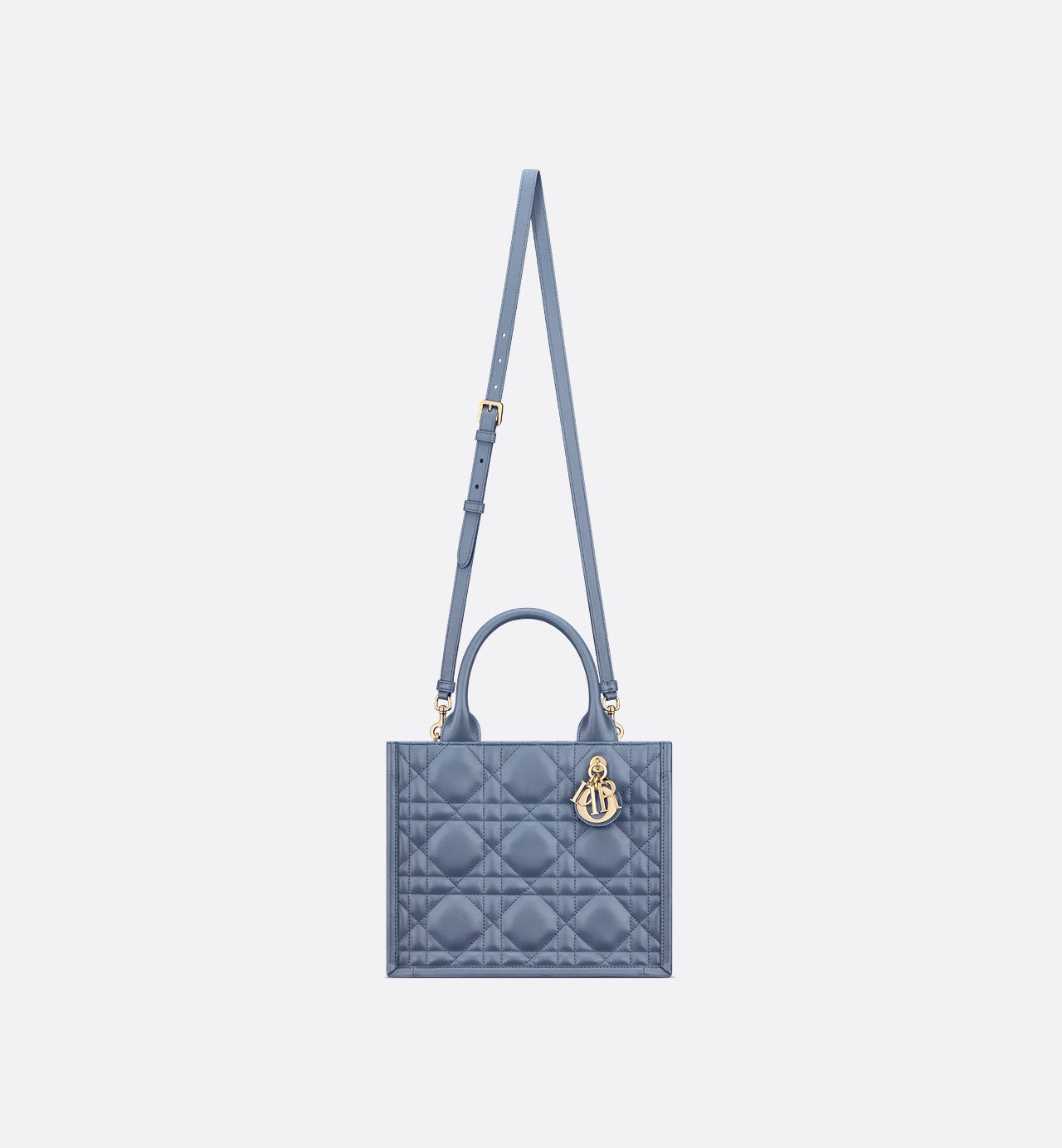Sac Dior Book Tote Small - #9