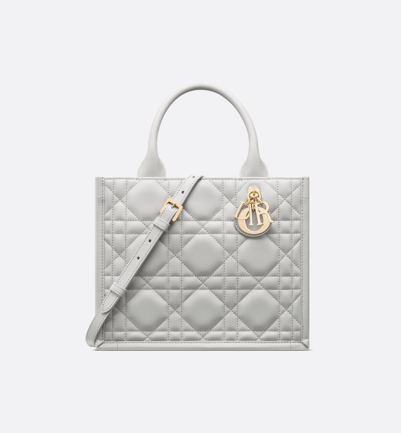 Sac Dior Book Tote Small - #7