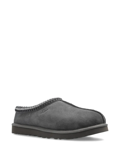 Tasman gris